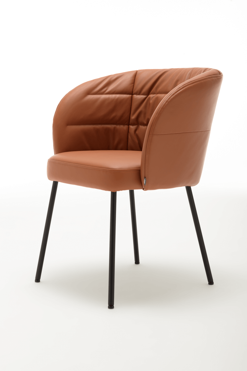ROLF BENZ Markenmöbel Stühle | Tische & Onlineshop